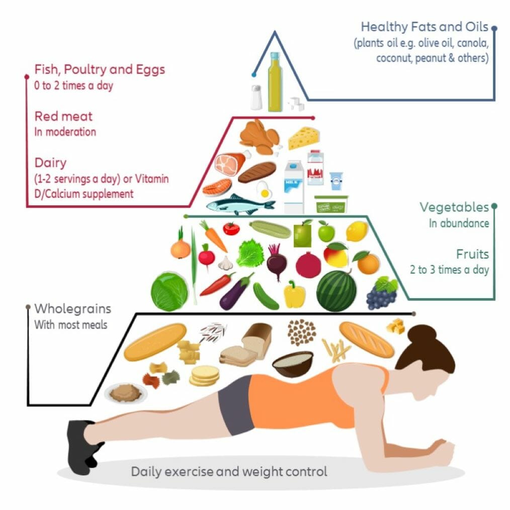 food pyramid
